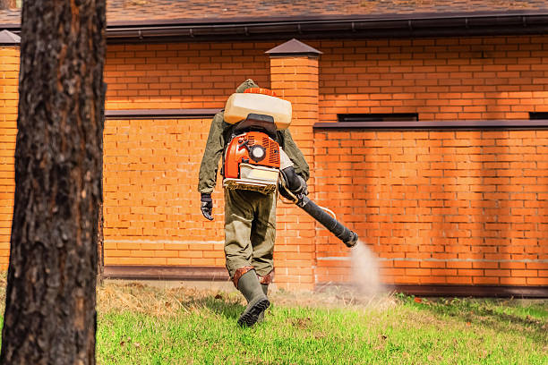 Top rated local Mosquito Control specialists in Franconia, VA